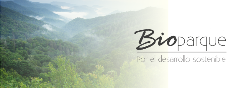 Quienes Somos